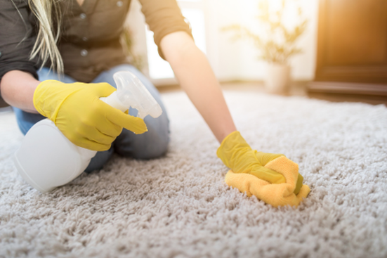 how to clean your own carpets